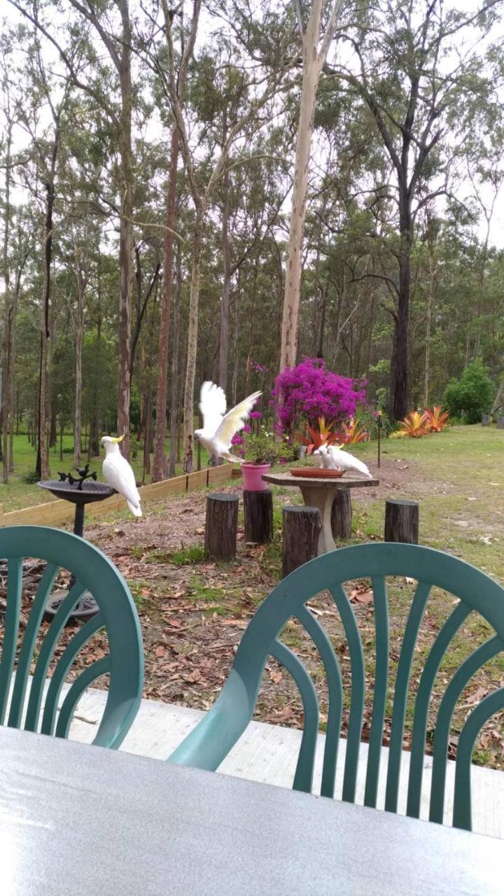 Springwood Meditation Centre 春木禪修渡假中心 호텔 외부 사진